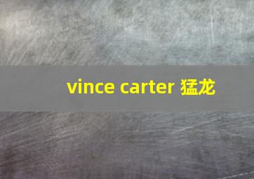 vince carter 猛龙